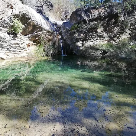 Pineros Montan